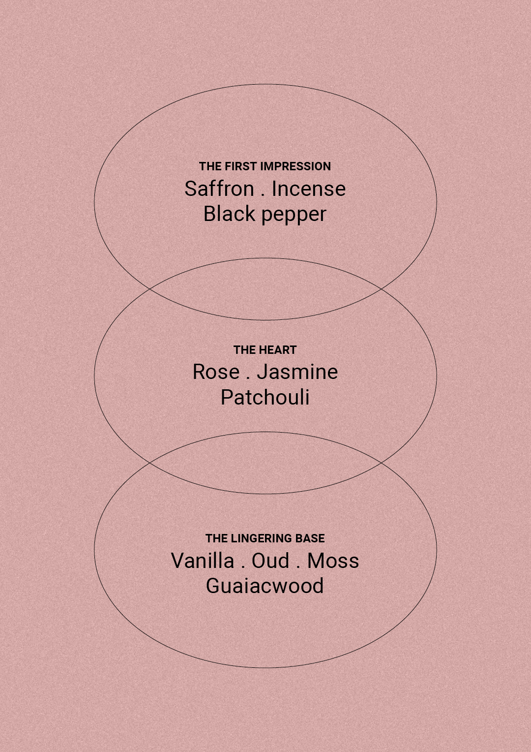 Rose & Jasmine Oud - Lotion