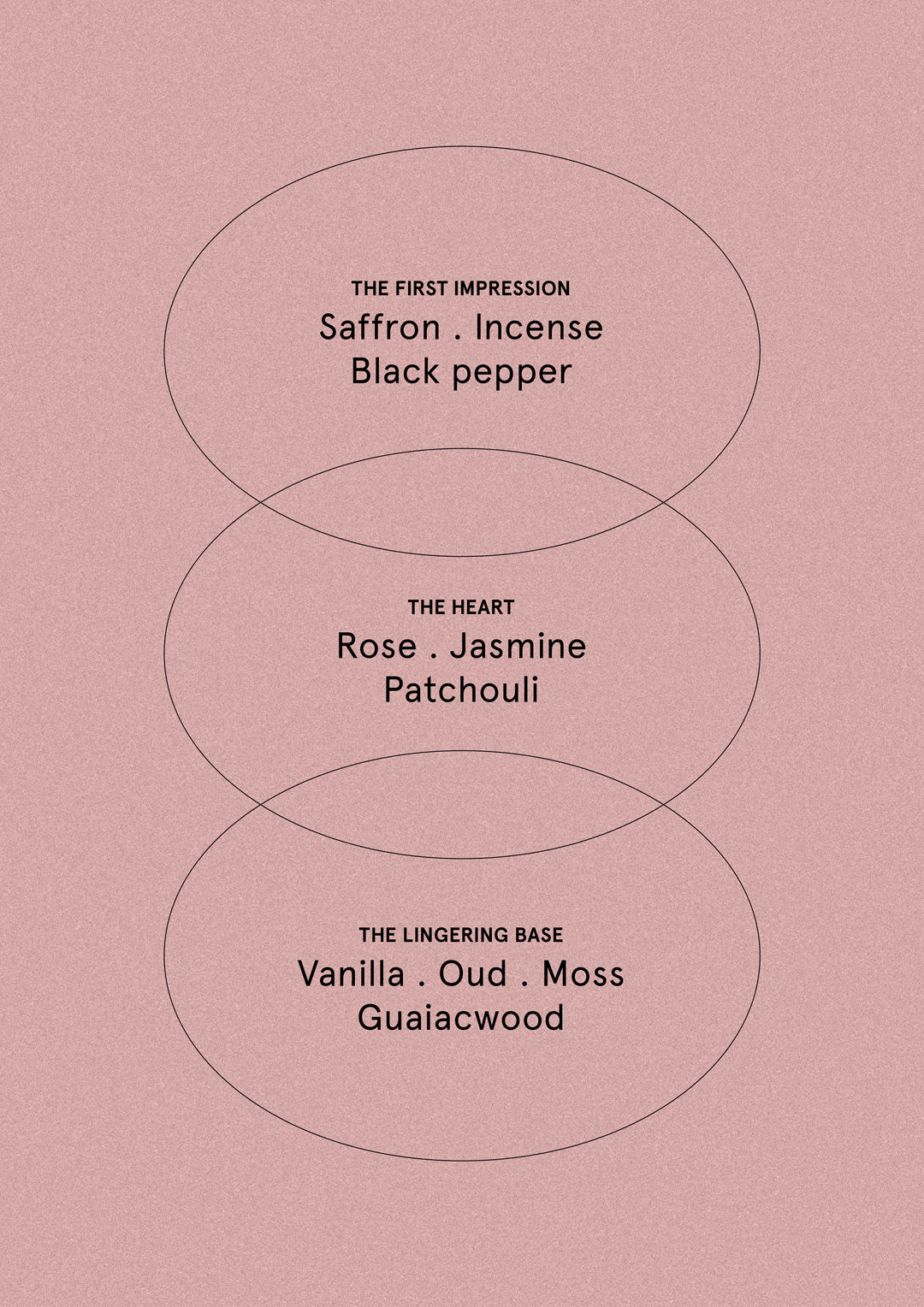 Rose & Jasmine Oud - Lotion