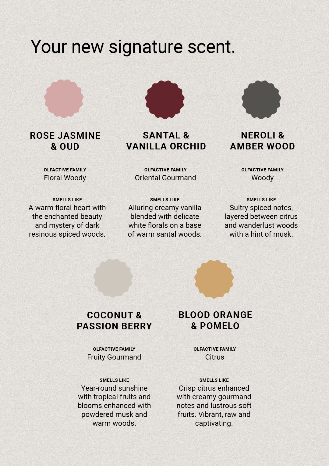 Rose & Jasmine Oud - Lotion