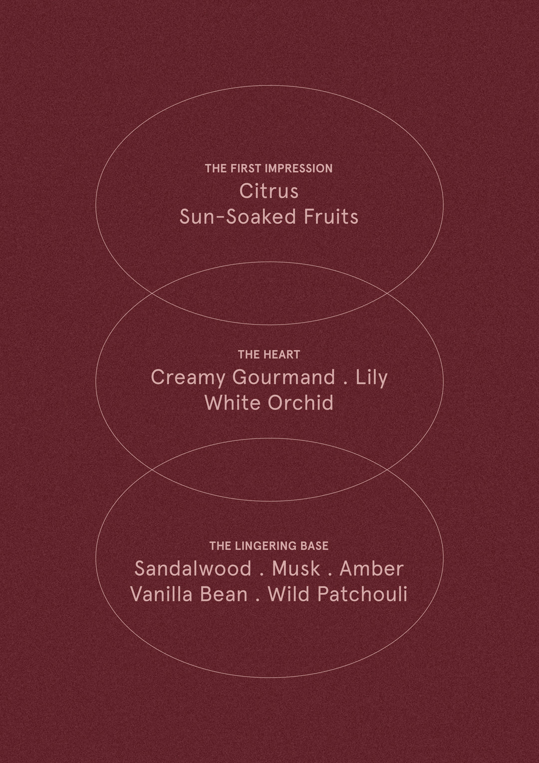 Santal & Vanilla Orchid - Diffuser