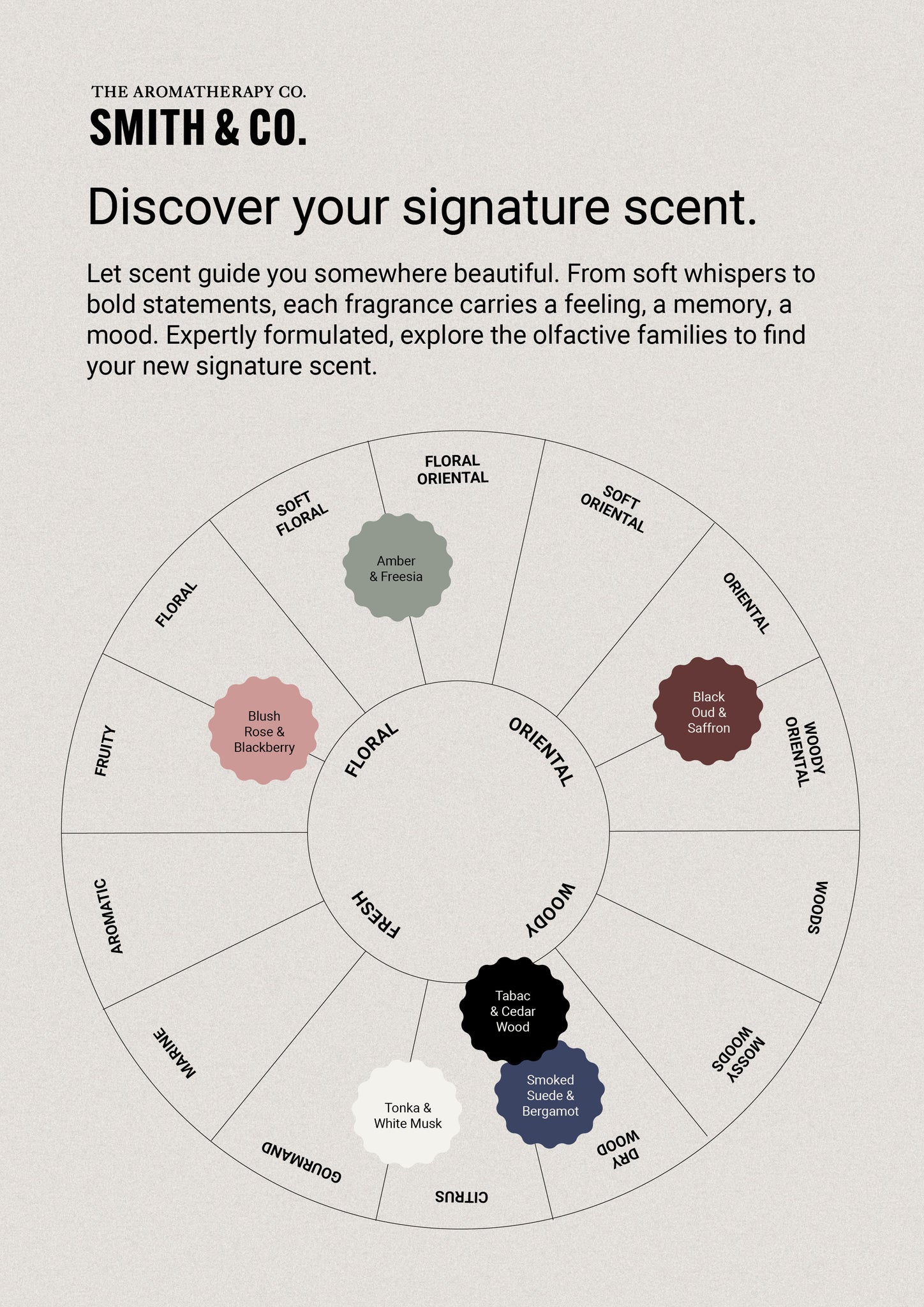 Amber & Freesia - Wash Refill