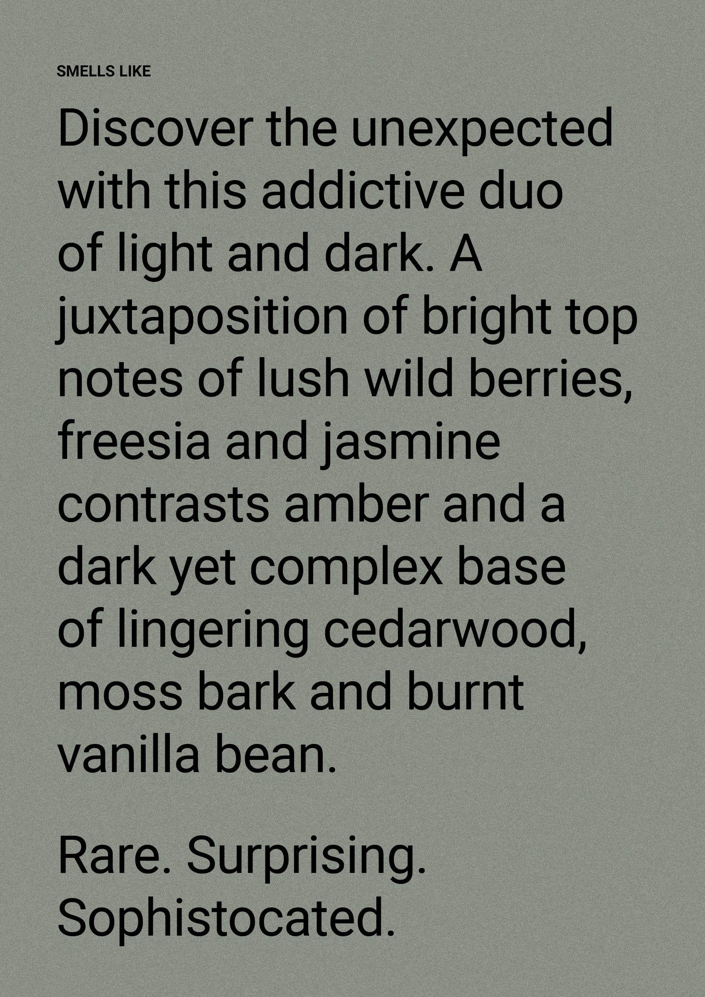 Amber & Freesia - Wash Refill