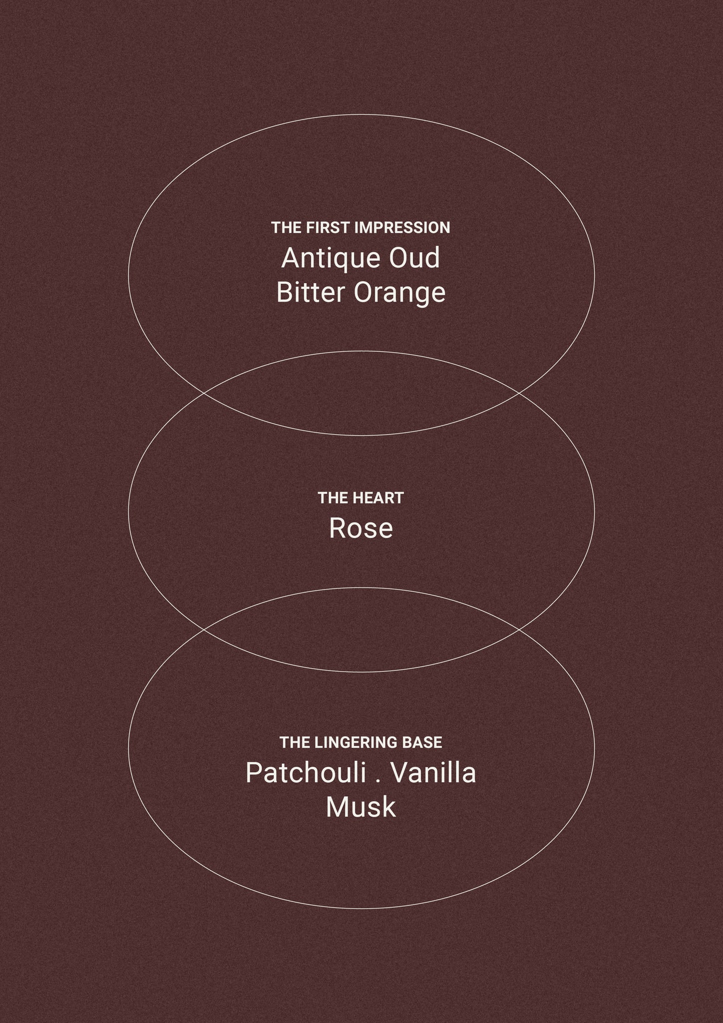 Black Oud  & Saffron - Wash Refill