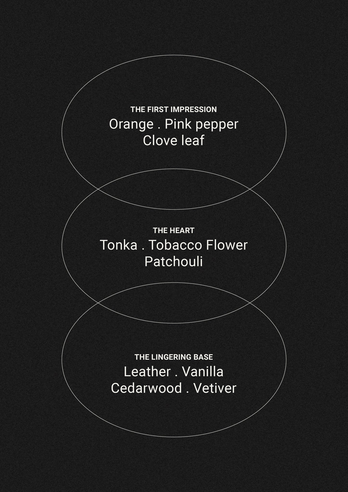 Tabac & Cedar Wood - Wash Refill