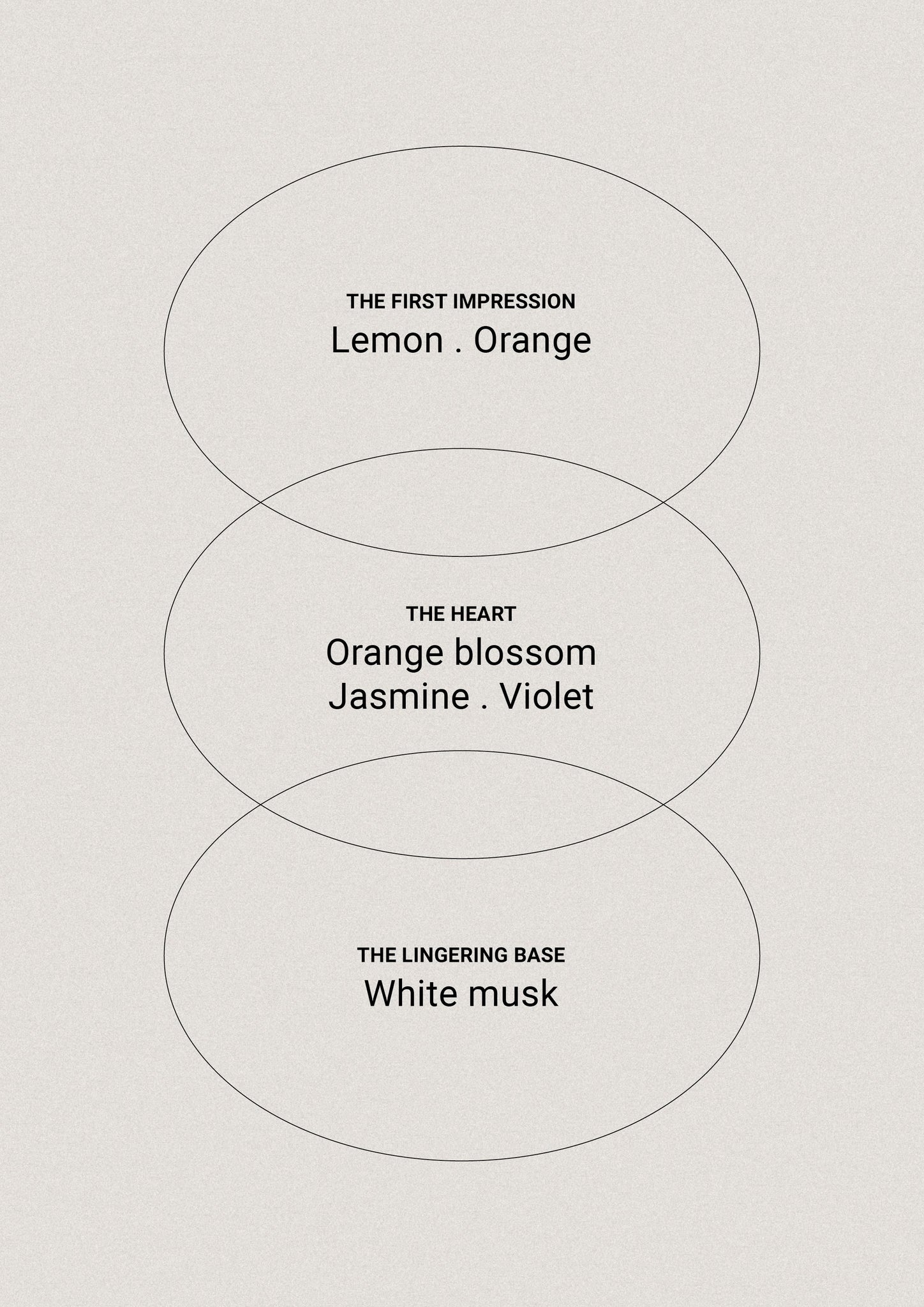 Tonka & White Musk - Lotion Refill