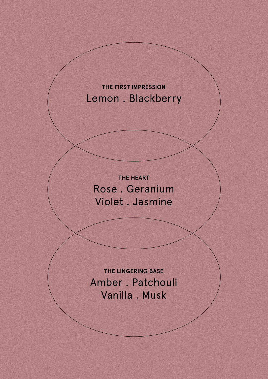 Blush Rose & Blackberry - Diffuser