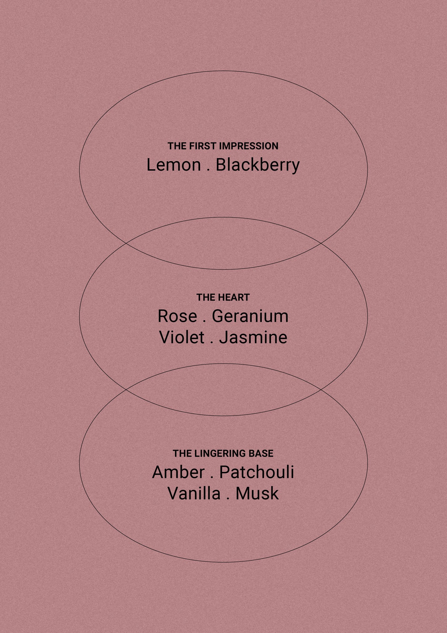 Blush Rose & Blackberry - Hand Cream