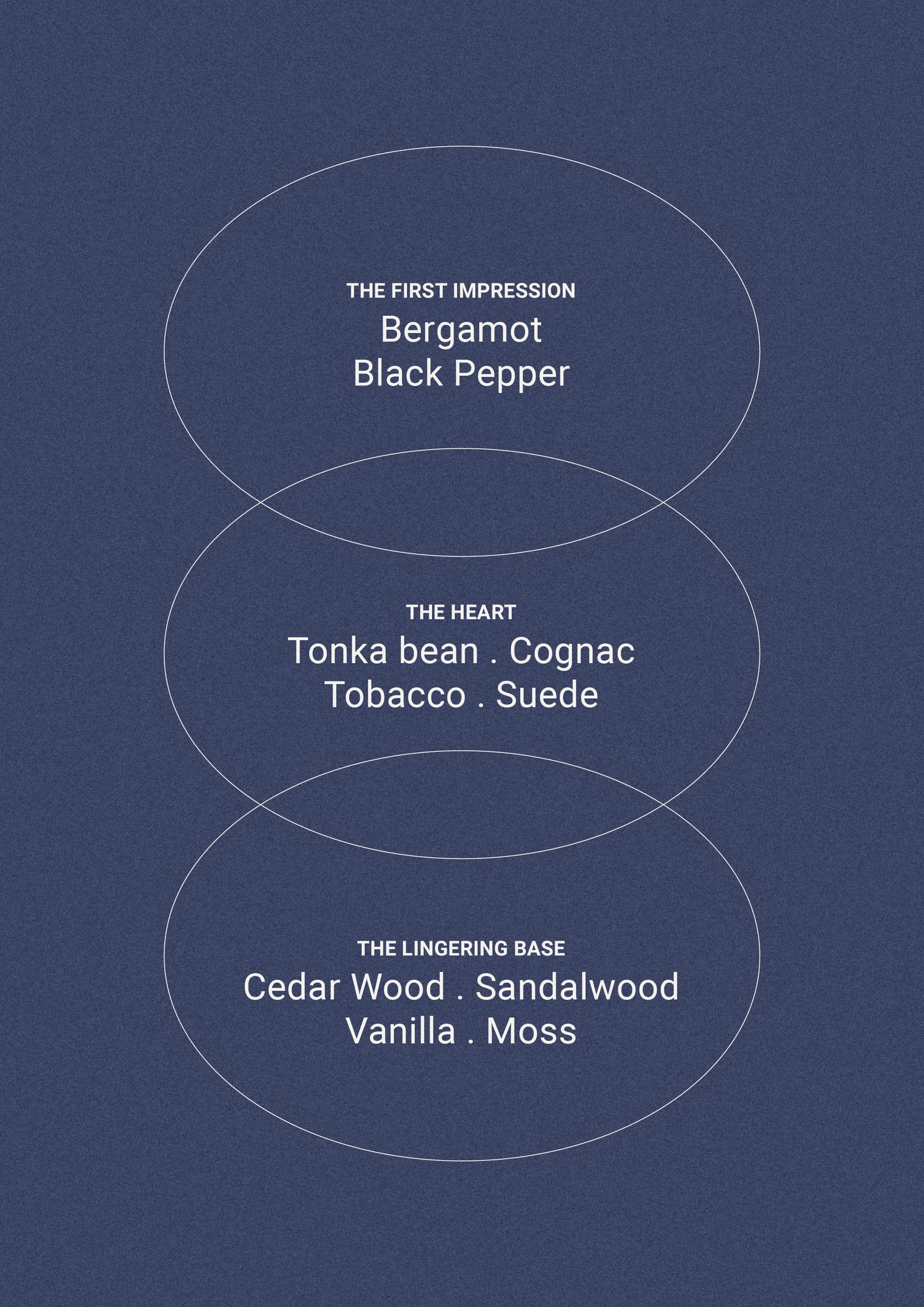 Smoked Suede & Bergamot - Room Spray