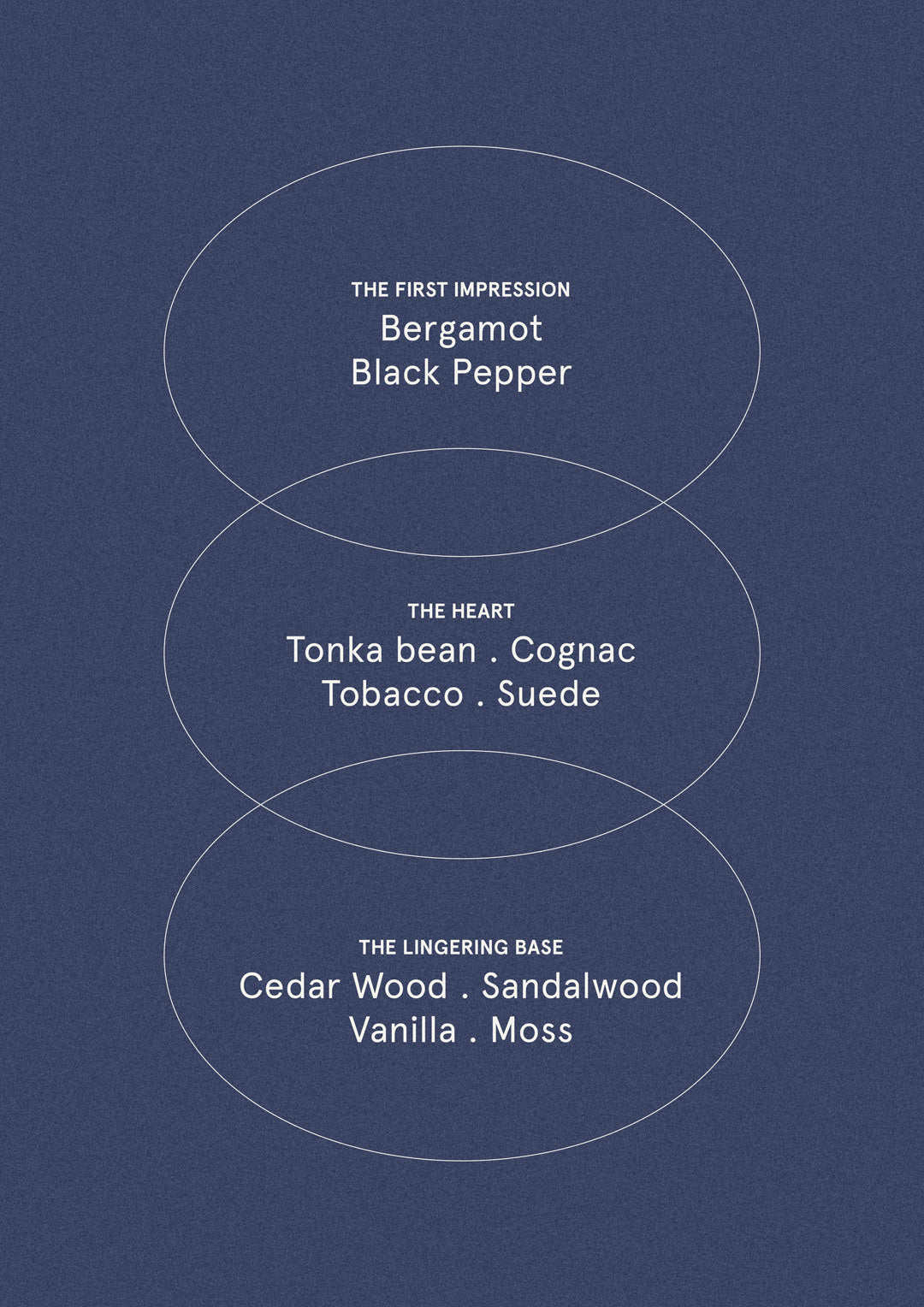 Smoked Suede & Bergamot - Wash