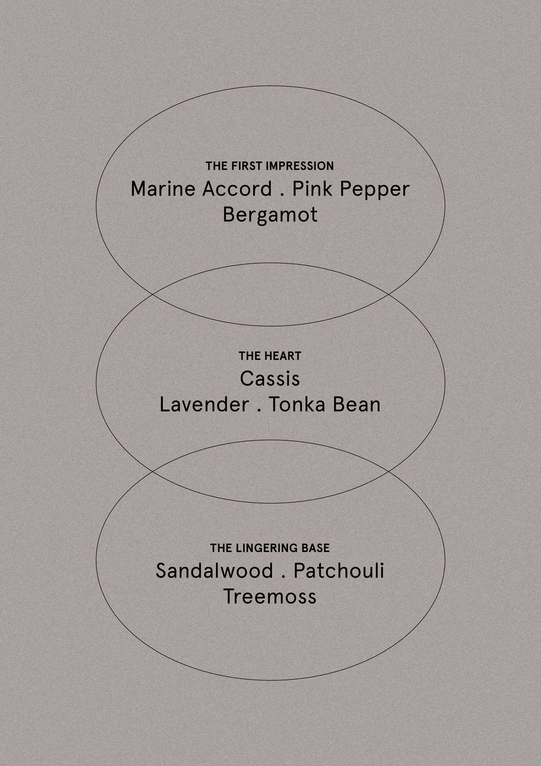 Sea Salt & Sandalwood