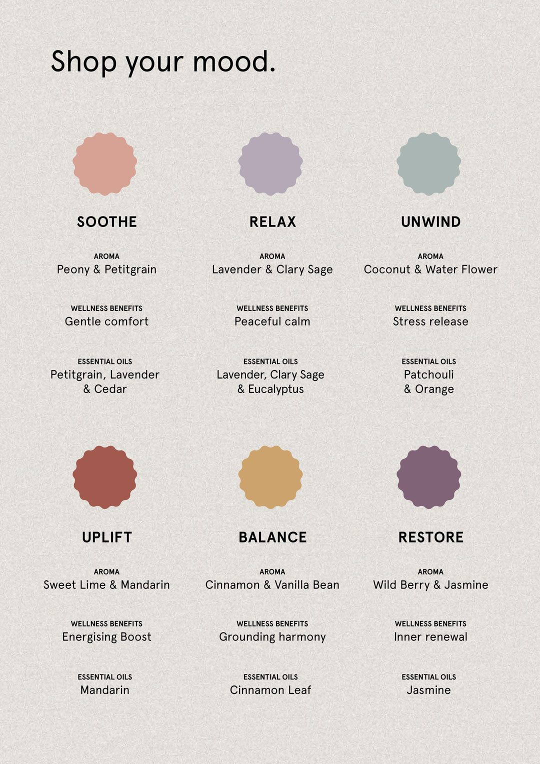 Balance Cinnamon & Vanilla Bean