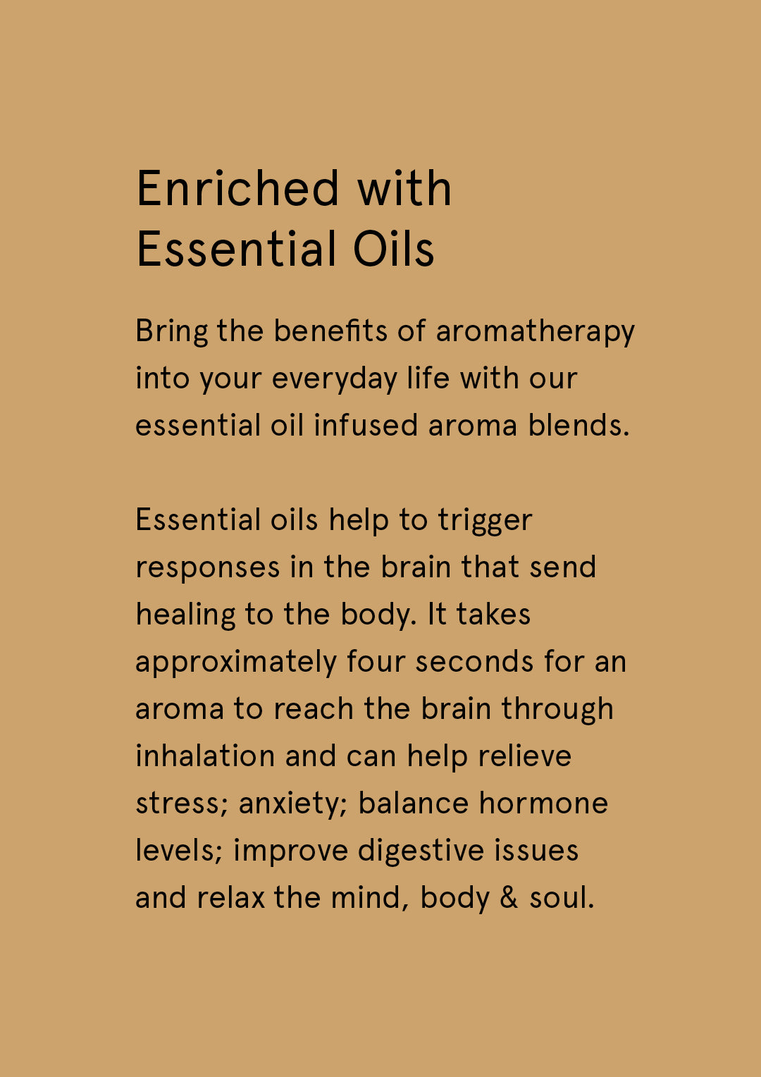 Therapy Diffuser Balance - Cinnamon & Vanilla Bean