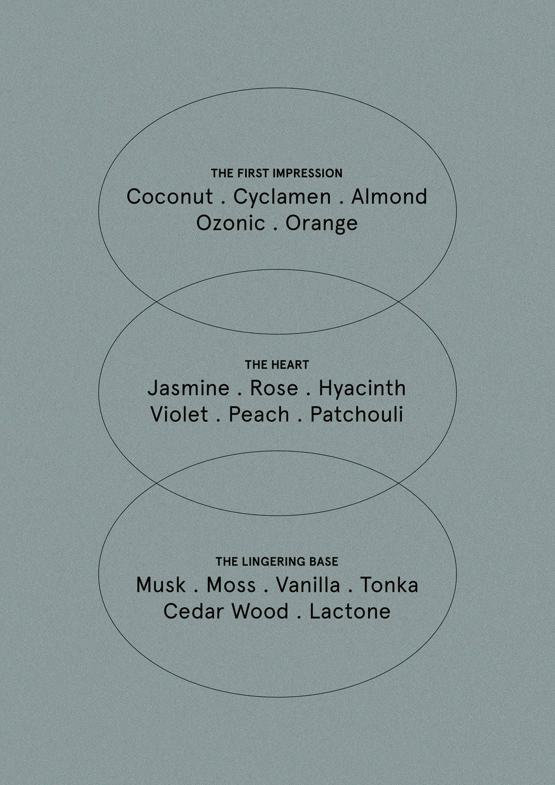 Unwind - Coconut & Water Flower